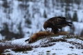 2011-03-03-036-norwegen