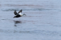 2011-03-05-009-norwegen