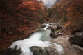 2011-11-02-pyrenees-022 2011-11-02-pyrenees-022