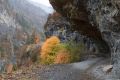 2011-11-02-pyrenees-040 2011-11-02-pyrenees-040