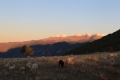 2011-11-08-pyrenees-003 2011-11-08-pyrenees-003