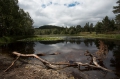 Schottland