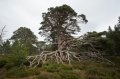 Schottland Juli 2014