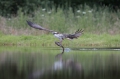 Schottland Juli 2014