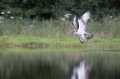 Schottland Juli 2014