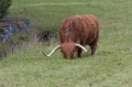 Schottland Juli 2014