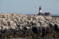 Schottland Juli 2014