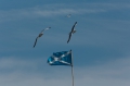 Schottland Juli 2014