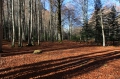 Pyrenäen November 2014