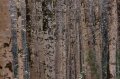 Pyrenäen November 2014