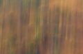 Pyrenäen November 2014