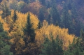 Pyrenäen November 2014