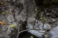Pyrenäen November 2014