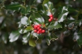 Pyrenäen November 2014