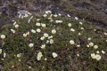 20150702 Svalbard 07-03-41 12