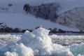 20150705 Svalbard 20-13-15 66