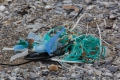 20150708 Svalbard 12-52-04 21