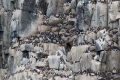 20150708 Svalbard 17-27-38 34