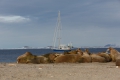 20150708 Svalbard 22-46-43 119