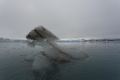 20150710 Svalbard 16-08-35 50