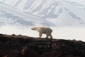 20150711 Svalbard 12-14-04 24