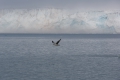 20150712 Svalbard 15-39-29 40