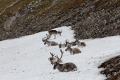 20150713 Svalbard 17-25-47 35