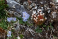 20150713 Svalbard 17-57-40 46