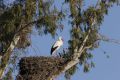 2008-01-28-40-Extremadura
