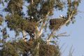 2008-01-28-45-Extremadura