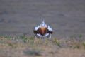 2009-04-18 003 EXTREMADURA