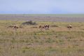2009-04-18 010 EXTREMADURA