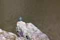 2009-04-21 014 EXTREMADURA