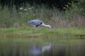 20140714 SCHOTTLAND 19-17-53 042
