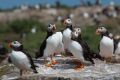 20140717 SCHOTTLAND 14-05-46 053