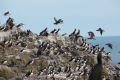 20140717 SCHOTTLAND 14-10-40 054