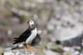20140717 SCHOTTLAND 14-14-18 072