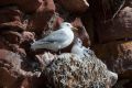 20140718 SCHOTTLAND 09-23-54 005