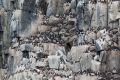 20150708 SVALBARD 17-27-38 34