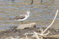 20170205 CABO VERDE 10-34-08 008