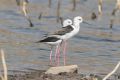 20170205 CABO VERDE 10-51-54 016