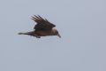 20170207 CABO VERDE 11-24-41 023
