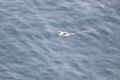 20170208 CABO VERDE 15-59-46 012