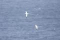 20170208 CABO VERDE 16-06-49 014