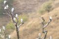 20170209 CABO VERDE 17-40-31 022