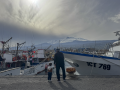 20260412-16-47-14-Sizilien-UL