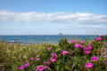 20260415-17-02-37-Stromboli-023