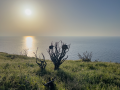 20260417-18-27-57-Stromboli-032