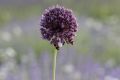 20210627-Provence-19-17-08-034
