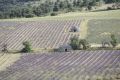 20210628-Provence-08-57-14-006